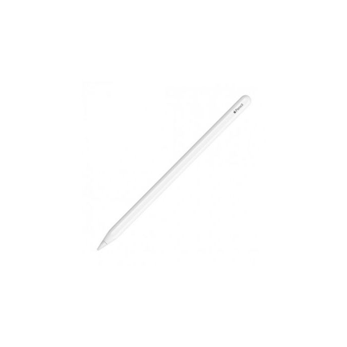Apple iPad Pro 2nd Gen. 256GB, Wi-Fi, 12.9 in - Space Gray WITH Apple  Pencil 190198282521 | eBay